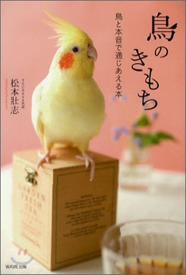 鳥のきもち