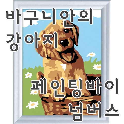 [바구니안의 강아지] 숫자로 그림 그리기 페인팅 바이 넘버스 라벤스부르거