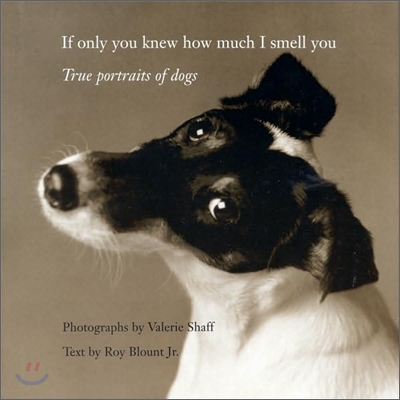 If Only You Knew How Much I Smell You: True Portraits of Dogs