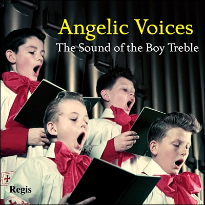 Timothy Angel 천사들의 목소리 - 소년 트레블의 사운드 (Angelic Voices - of the Boy Treble)