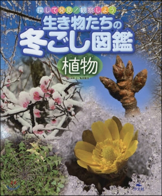 生き物たちの冬ごし圖鑑 植物