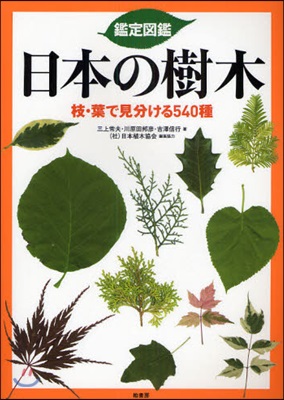 鑑定圖鑑日本の樹木 枝.葉で見分ける540種