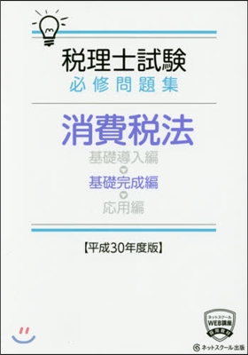 平30 消費稅法 基礎完成編