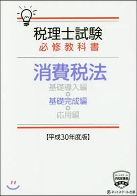 平30 消費稅法 基礎完成編