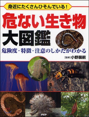 危ない生き物大圖鑑 危險度.特?.注意のしかたがわかる 身近にたくさんひそんでいる!