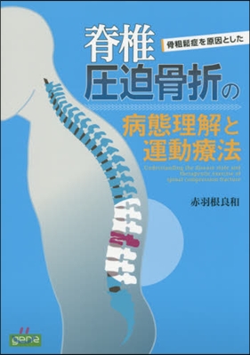 脊椎壓迫骨折の病態理解と運動療法