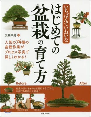 いちばんていねいなはじめての盆栽の育て方