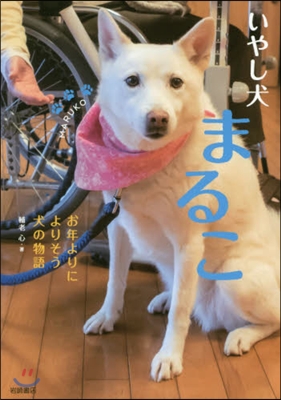 いやし犬まるこ お年よりによりそう犬の物