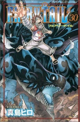 FAIRY TAIL 30