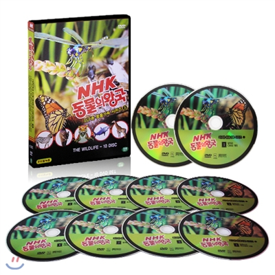 [NHK 다큐멘터리] 동물의 왕국 - 지구촌 동물가족 DVD 10 DISC (잠자리, 나비와 개미 등 10편 ) /우리말/총750분/전체관람가