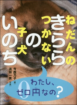 ねだんのつかない子犬 きららのいのち