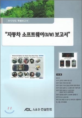 2012년도 특별보고서  자동차 소프트웨어(S/W) 보고서