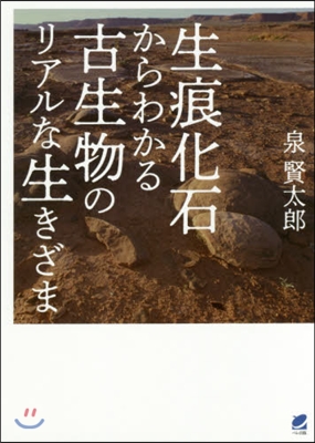 生痕化石からわかる古生物のリアルな生きざ