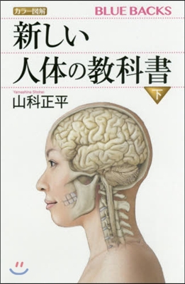 カラ-圖解 新しい人體の敎科書 下