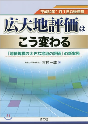 廣大地評價はこう變わる 「地積規模の大き