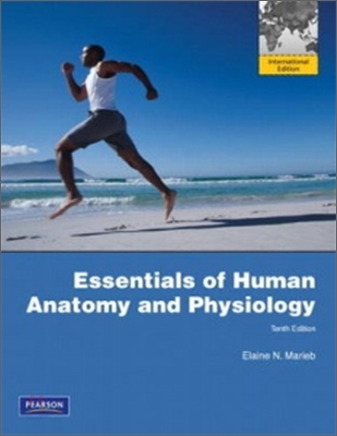 Essentials of Human Anatomy & Physiology, 10/E