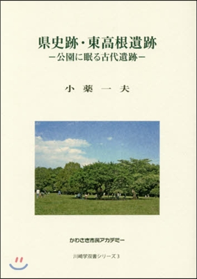 縣史跡.東高根遺跡－公園に眠る古代遺跡－