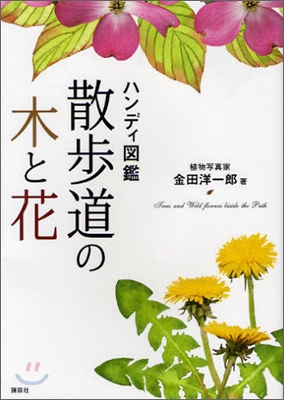 ハンディ圖鑑 散步道の木と花