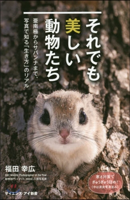 それでも美しい動物たち 