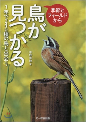 季節とフィ-ルドから鳥が見つかる