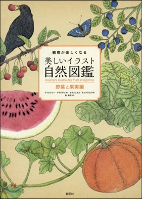 觀察が樂しくなる美しいイラスト自然圖鑑 野菜と果實編