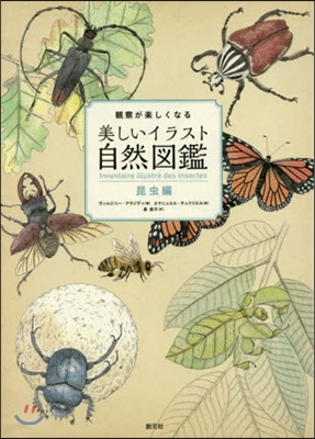 觀察が樂しくなる美しいイラスト自然圖鑑 昆蟲編