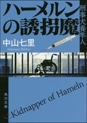 ハ-メルンの誘拐魔 刑事犬養準人