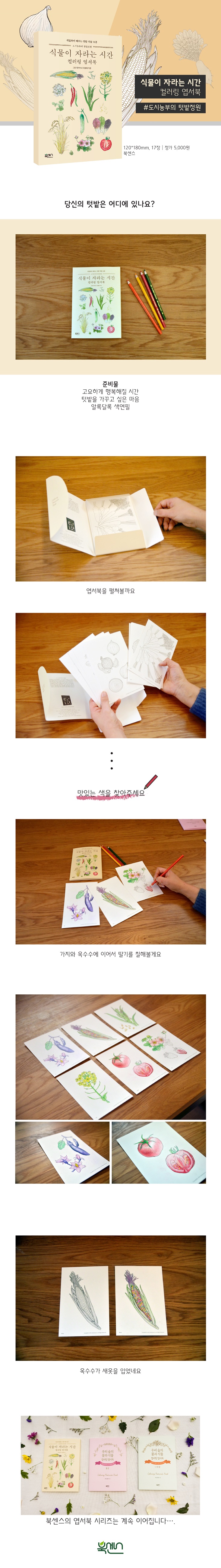 상세 이미지 1
