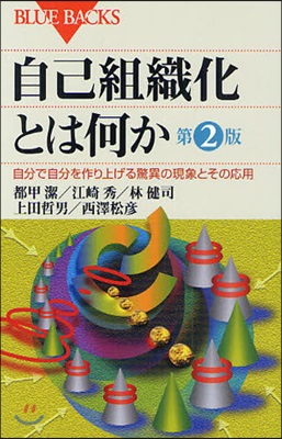 自己組織化とは何か 自分で自分を作り上げる驚異の現象とその應用