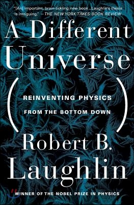 A Different Universe: Reinventing Physics From the Bottom Down