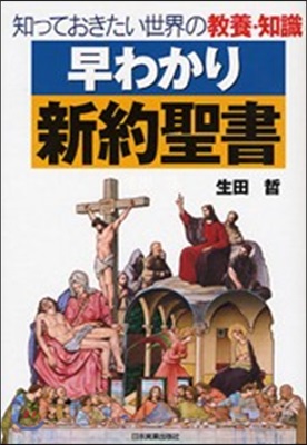 早わかり新約聖書 知っておきたい世界の敎養.知識