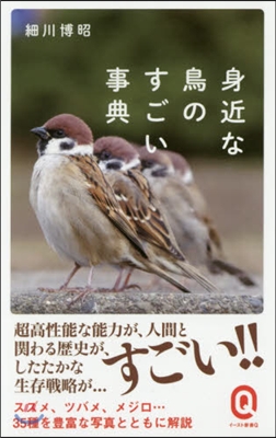 身近な鳥のすごい事典