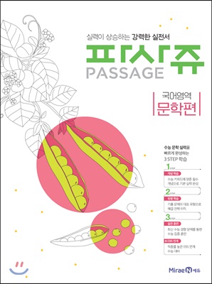 PASSAGE 파사쥬 국어영역 문학편 (2018년)