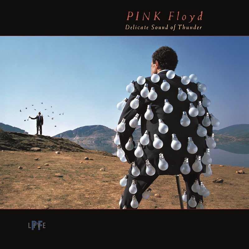 Pink Floyd - Delicate Sound Of Thunder: Live 핑크 플로이드 라이브 앨범 [2 LP]