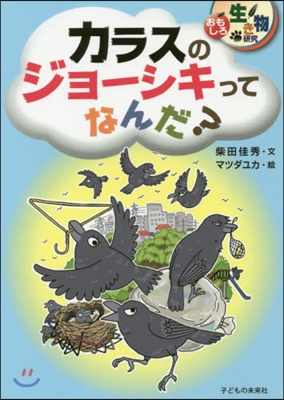 カラスのジョ-シキってなんだ?