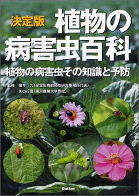 決定版 植物の病害蟲百科