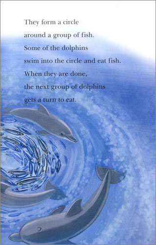 러닝캐슬 시니어 A21 : Do Dolphins Really Smile? : Student book + Work Book