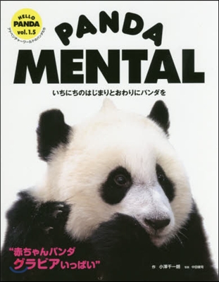 PANDA MENTAL いちにちのはじまりとおわりにパンダを