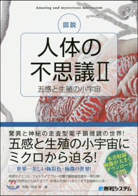 圖說人體の不思議   2 五感と生殖の小