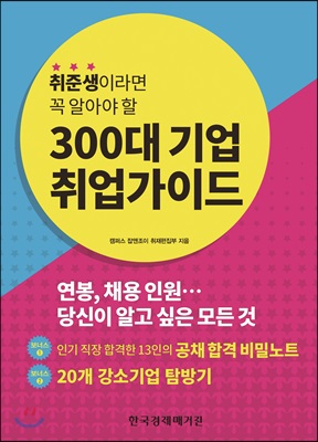 300대 기업 취업가이드