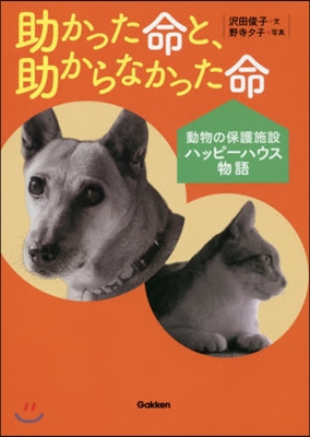 助かった命と,助からなかった命~動物の保