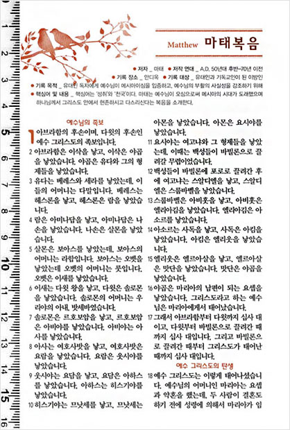 상세 이미지 3