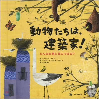 動物たちは,建築家! どんなお家に住んで