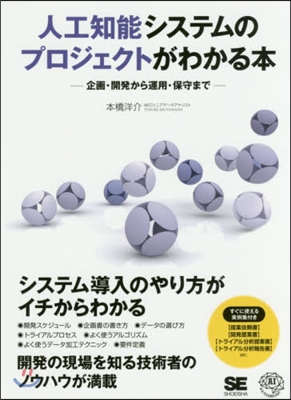 人工知能システムのプロジェクトがわかる本