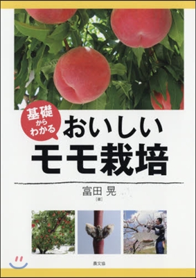 基礎からわかる おいしいモモ栽培