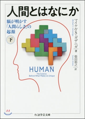 人間とはなにか(下)腦が明かす「人間らしさ」の起源