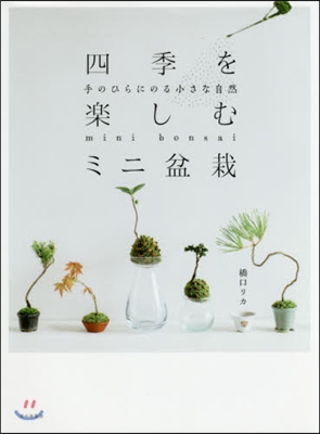 四季を樂しむミニ盆栽 手のひらにのる小さ