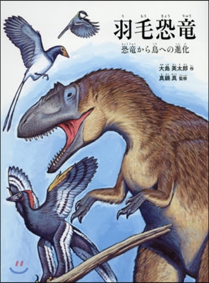 羽毛恐龍 恐龍から鳥への進化