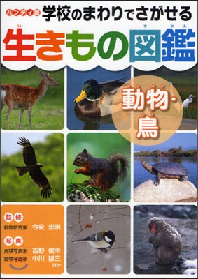 學校のまわりでさがせる生きもの圖鑑 ハンディ版 動物.鳥