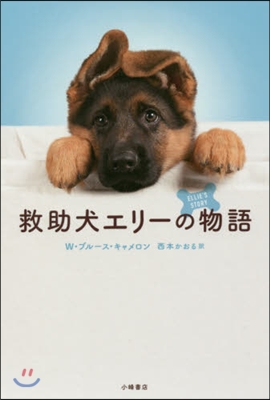 救助犬エリ-の物語